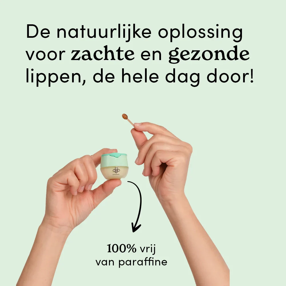 Honeybalm Mint - Image 4