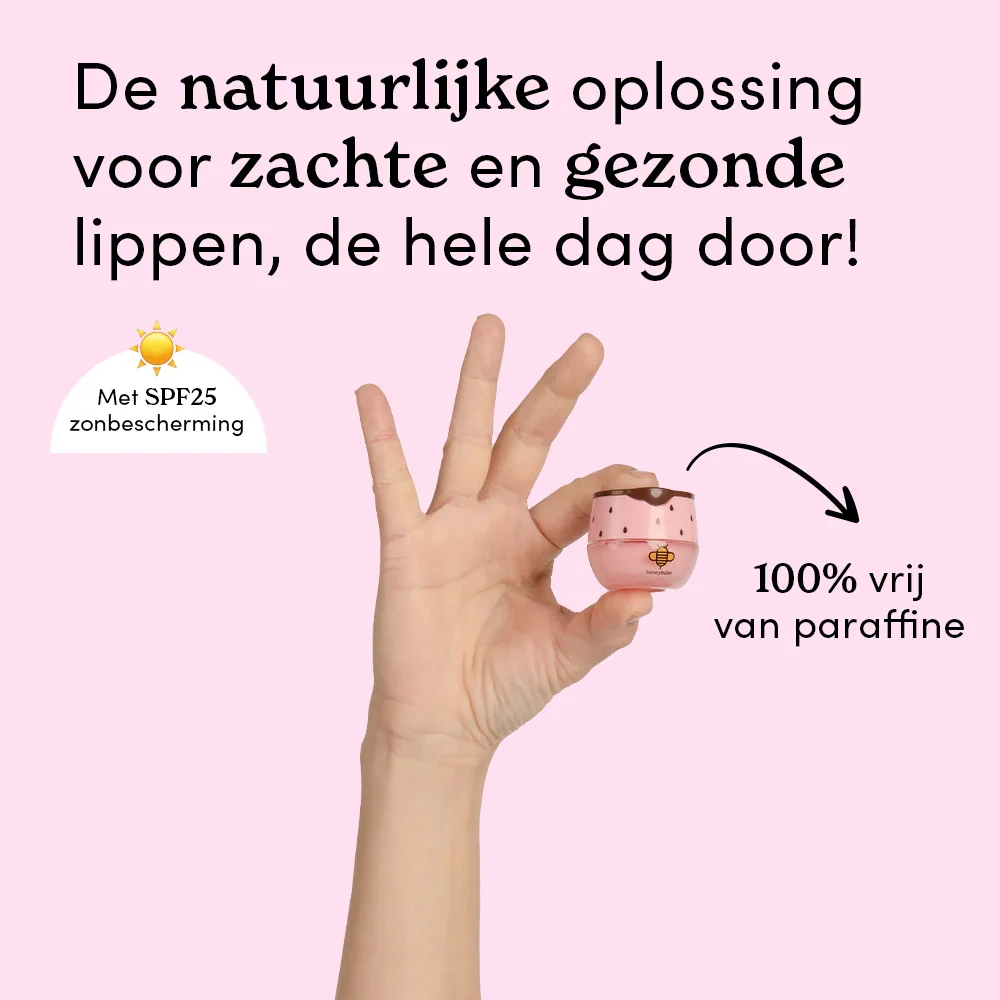 Miniatuur 2