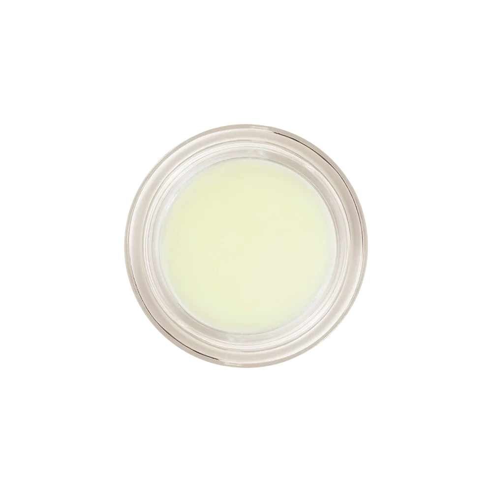 Honeybalm Mint - Image 6