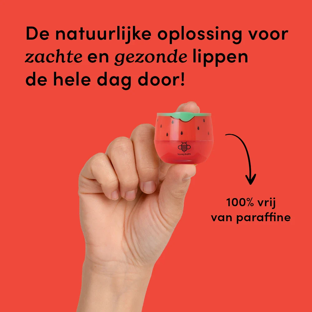 Miniatuur 2